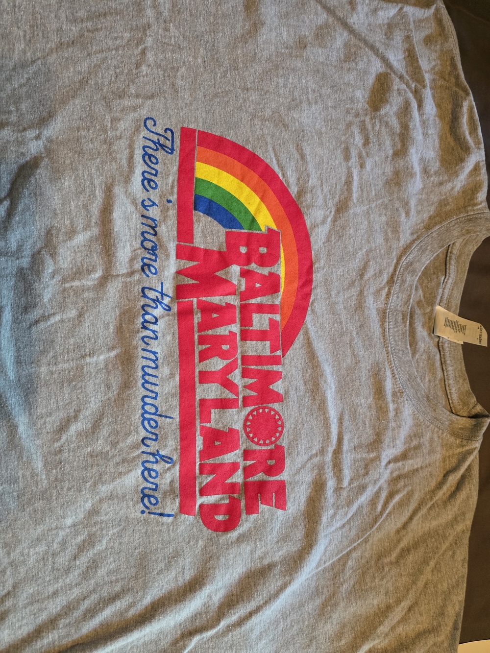 3X Funny Gray Baltimore Maryland: More Than Murder Rainbow Graphic Tee